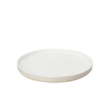 Kivi Speckled Stoneware Dinner Plate