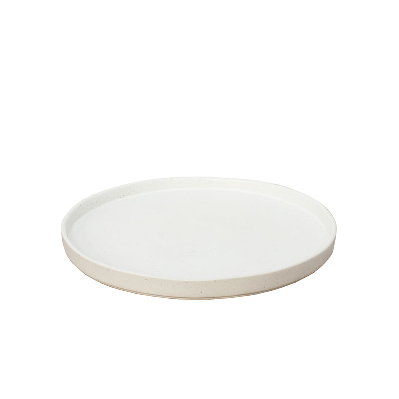 Kivi Speckled Stoneware Dinner Plate
