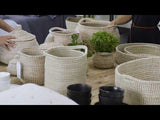 Lang Hand Woven Seagrass Basket